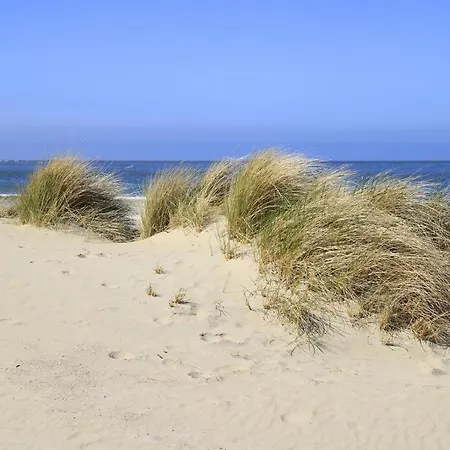 Cala Bassa Beachhouse Holiday home Noordwijk